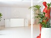 kassandra greece -